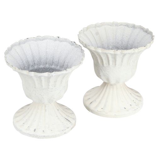 Floristik24 Ozdobný pohár Shabby Chic Kalich biely Ø8cm V8,5cm 2ks
