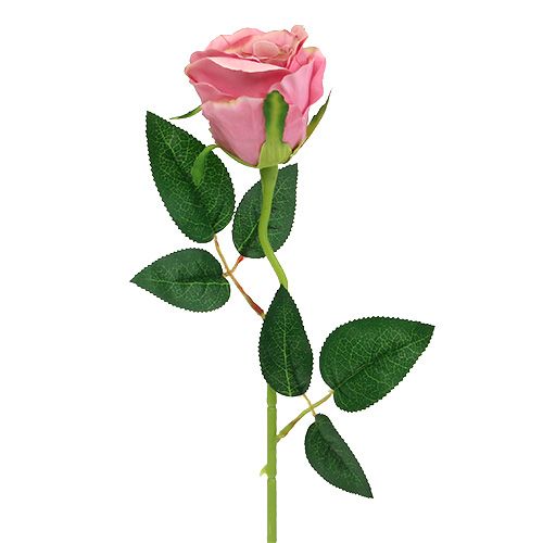Deko ruža Ø6cm stará ruža L50cm 1ks | Floristik24.sk