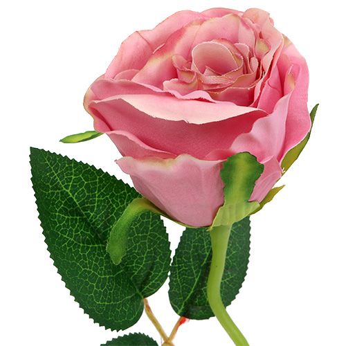 Deko ruža Ø6cm stará ruža L50cm 1ks | Floristik24.sk
