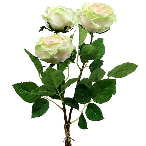 Floristik24 Deco ruža krémovo-ružová Ø10cm 52cm 3ks