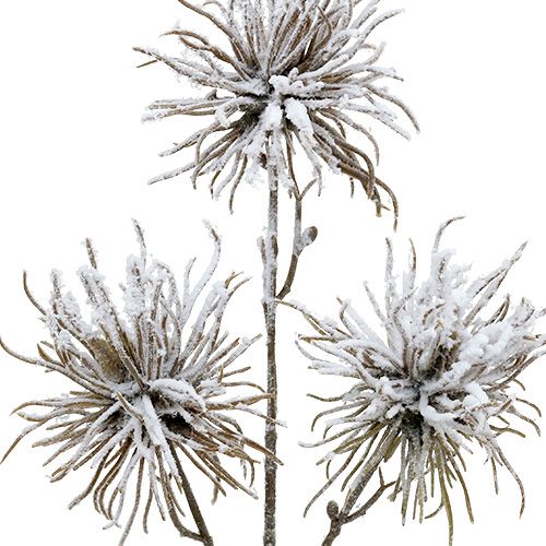 Deco konár zasnežený 45cm 3ks | Floristik24.sk