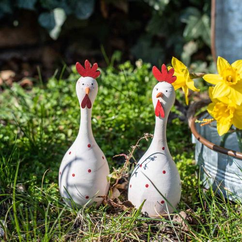 Floristik24 Dekoratívne kuracie drevo biele s bodkami Veľkonočná figúrka Ø7cm V20cm
