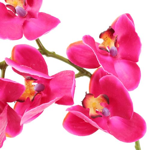 položky Umelá orchidea fuchsiová 77 cm