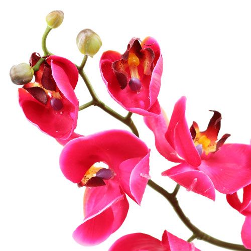 položky Dekoratívna orchidea vo fuchsiovej farbe 77cm