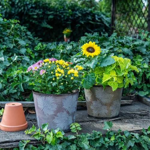 Floristik24 Dekoratívny kvetináč s listami zinkovo šedá, oranžová, hnedá Ø26cmV22cm 3ks