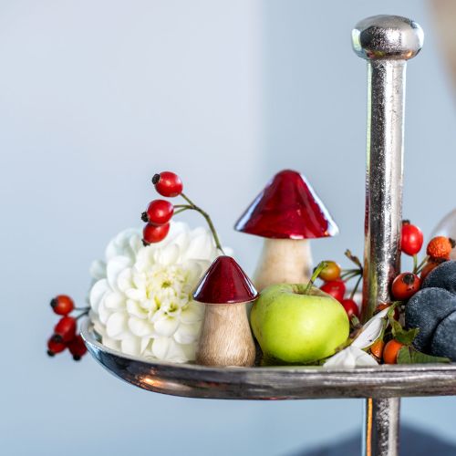 položky Dekoračné hríby drevené hríby červený lesk jesenná dekorácia V6/8/10cm sada 3 ks