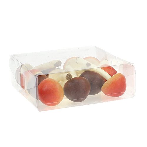 Floristik24 Deko huby hnedé, oranžové 9cm 12ks