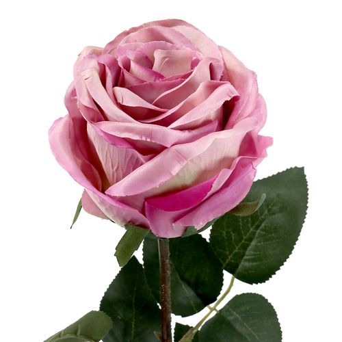 položky Deco ruža plnená tmavoružová Ø10cm L65cm 3ks