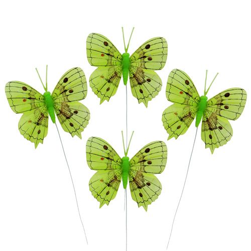 Floristik24 Deco motýle zelené 8cm 6ks