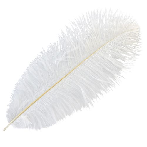 Pštrosie perie Exotická dekorácia Biele perie 32-35cm 4 ks