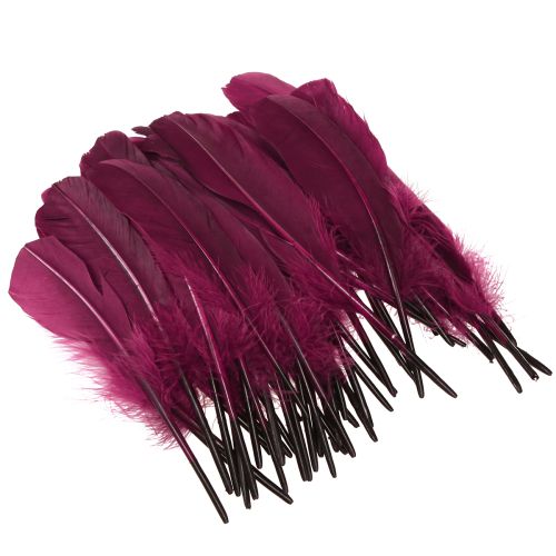 položky Ozdobné perie bordové husacie perie remeselné potreby 20g x 2ks