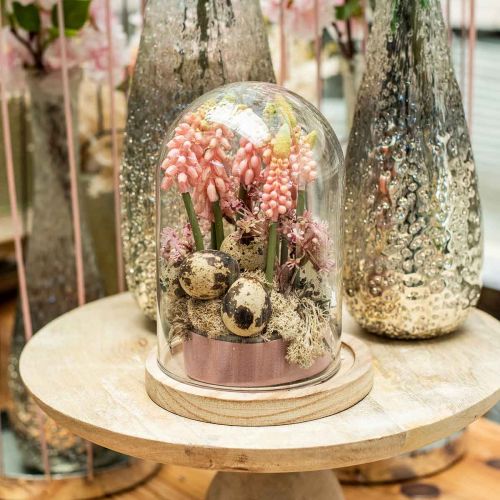 Floristik24 Ozdobný zvonček, sklenená kupola s drevenou doskou, stolová dekorácia V16cm Ø12,5cm