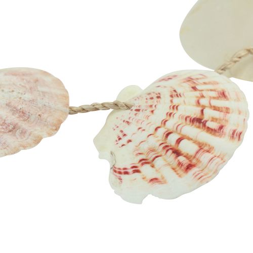 položky Ozdobný vešiak dekorácia z morskej mušle prírodná Ø5–10cm 70cm