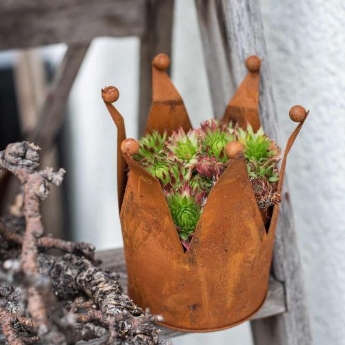 Floristik24 Ozdobná korunka, kovová dekorácia, patina Ø15cm V11,5cm