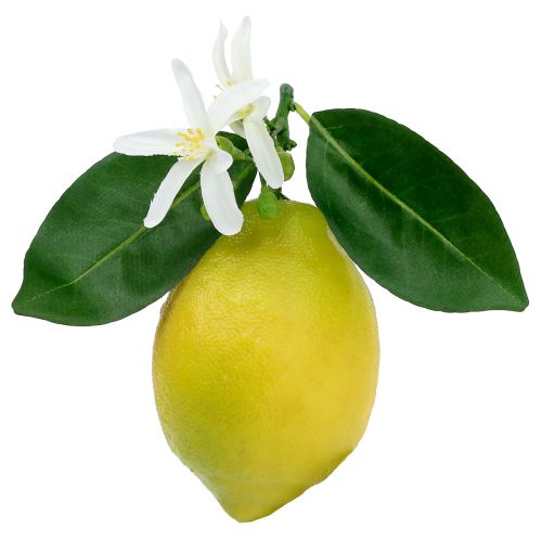 Floristik24 Dekoračné ovocie, citróny s listami žlté 9,5cm 4ks