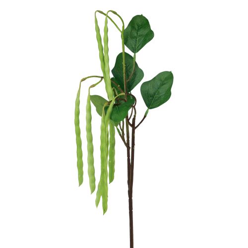 Floristik24 Ozdobná vetvička fazuľová vetvička umelá rastlina zelená 68cm
