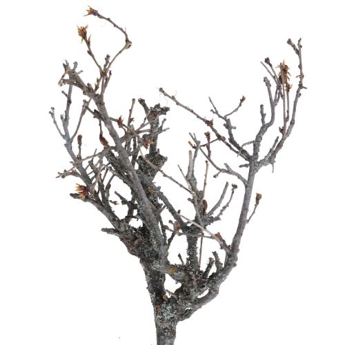 položky Deko vetvičky bonsajové drevené deko vetvičky 15-30cm 650g