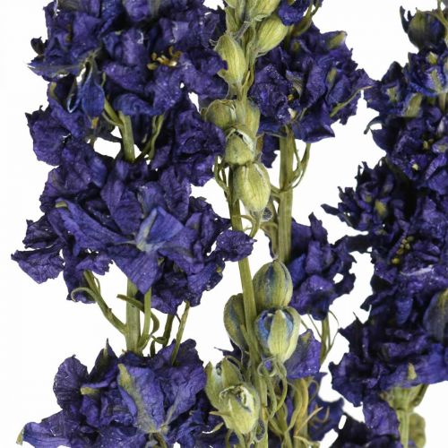 položky Delphinium sušené, suché kvetinárstvo, delphinium blue L64cm 25g