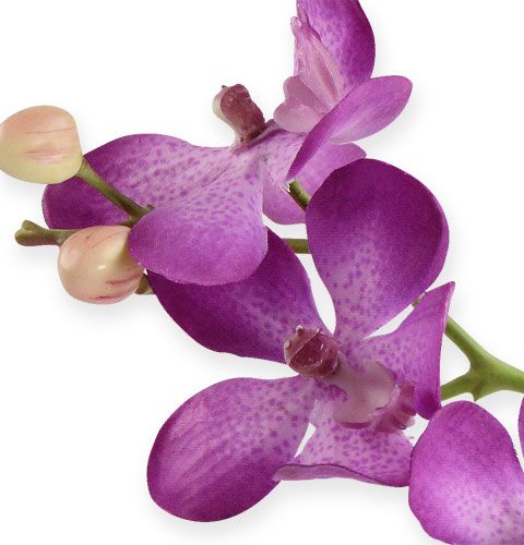 položky Orchidea fialová 38cm