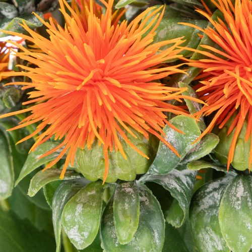 Umelý oranžový svetlicový kvet ako umelý kvet do vázy a na dekoráciu, 55 cm, 4 kusy | Floristik24.sk