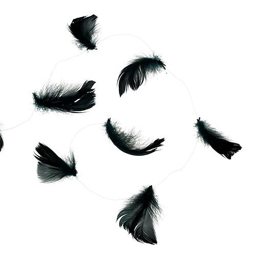 Floristik24 Drôt s pružinou čierny 10m