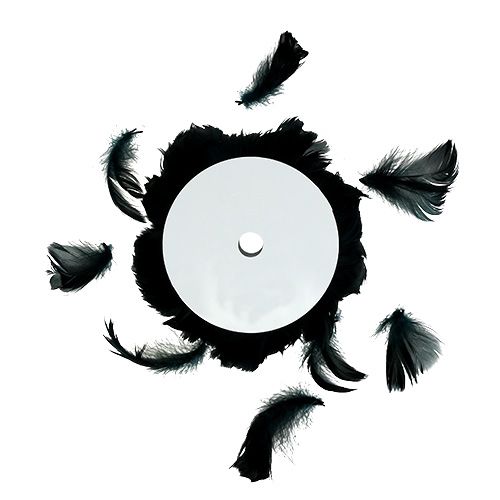 Floristik24 Drôt s pružinou čierny 10m