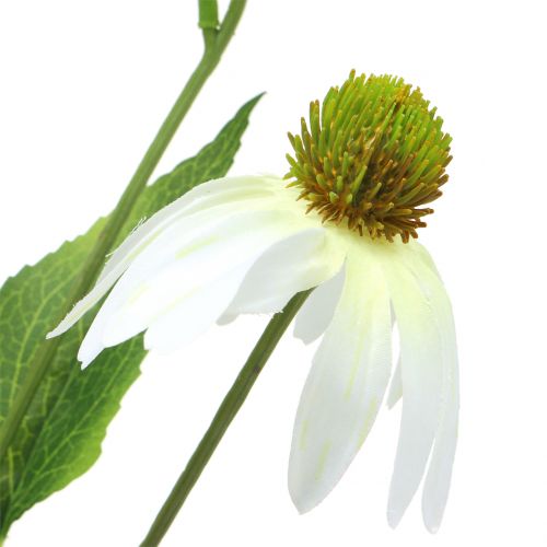 položky Echinacea kvet umelý biely 90cm