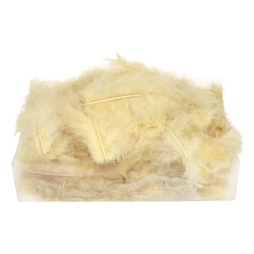 položky Pravé pierka na remeslá vo svetložltej farbe 5cm - 10cm 20g