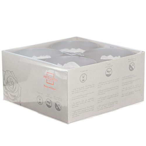 Floristik24 Pravé ružové hlávky Infinity Roses White Premium Ø8,5cm 4 ks