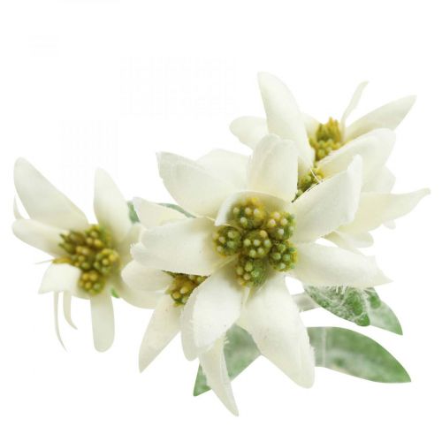 položky Edelweiss umelý kvet biely vločkovaný 38cm