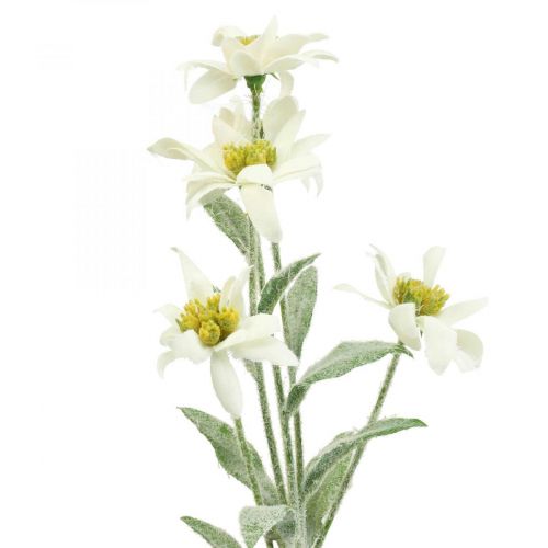 Floristik24 Edelweiss umelý kvet biely vločkovaný 38cm