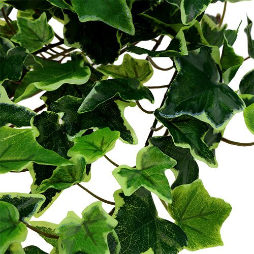položky Brečtanový vešiak bielo-zelený 70cm