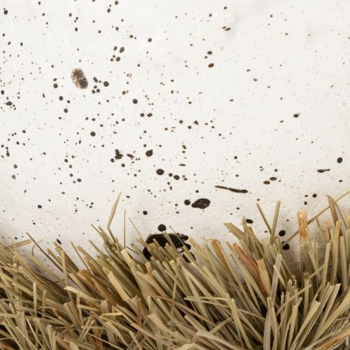 položky Veľkonočná miska hniezdo v tvare vajíčka na jarnú dekoráciu 11 cm 4 ks