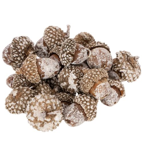 Žalude, prírodný produkt na dekoráciu, obielené, 1-3 cm, 300 g