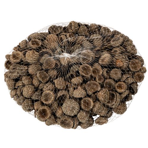 Prírodné žaluďové čiapky, dekoratívne misky na jeseň a advent, 2 cm, 300 g | Floristik24.sk