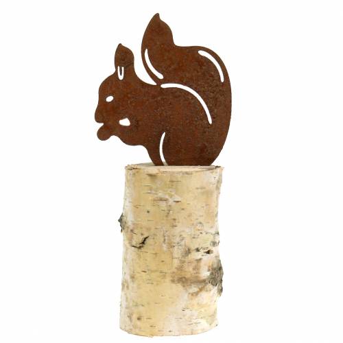 Floristik24 Patina veveričky na kmeni V22cm