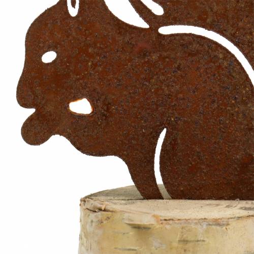 Floristik24 Patina veveričky na kmeni V22cm