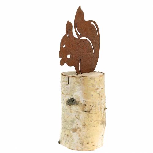 Floristik24 Patina veveričky na kmeni V22cm