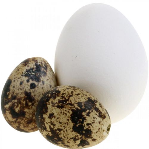 Floristik24 Dekorácia vajíčkový mix prepeličie vajíčka a slepačie vajíčka Vyfúknuté veľkonočné vajíčka