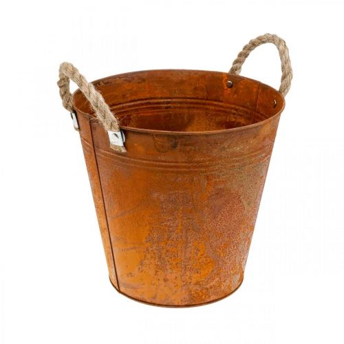 Floristik24 Kvetináč s rúčkami, miska na rastliny, kovová nádoba s hrdzavým dekorom Ø25cm V24cm