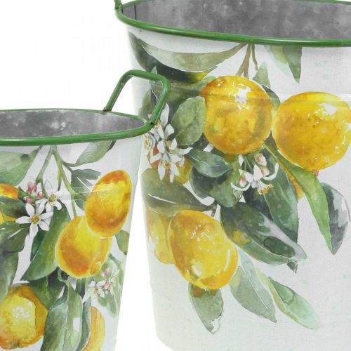 položky Stredomorská plechová vaňa, kvetináč s citrónovým motívom biela, zelená, žltá V43,5/34 cm Š36,5/27,5 cm sada 2 kusov