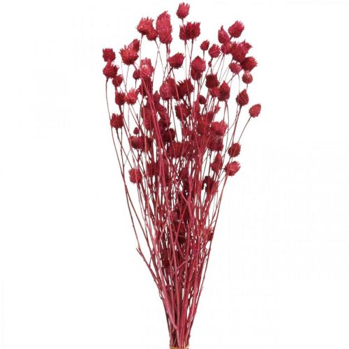 Sušené kvety Pestrec červený Pestrec jahodový farebný 100g