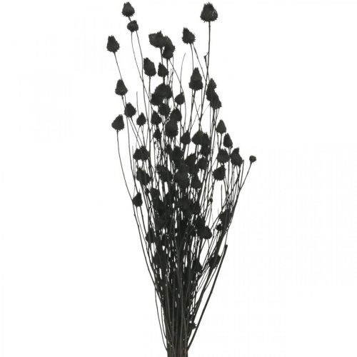 položky Sušené kvety Pestrec čierny Pestrec jahodový 100g
