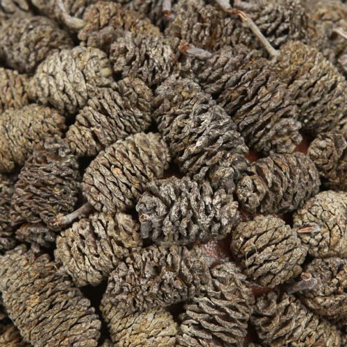 položky Dekoratívna guľa z jelšového kužeľa na zavesenie, biela, 20 cm