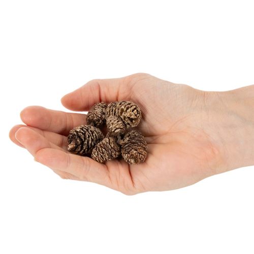 Jelšové šišky, prírodný produkt na dekoráciu a tvorenie, zlaté, 3 cm, 300 g | Floristik24.sk