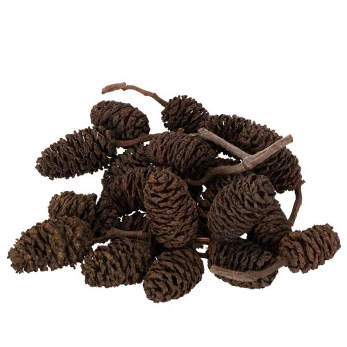 Prírodné jelšové šišky, voľné, na ozdobu, 3 cm, 300 g, prírodná hnedá.