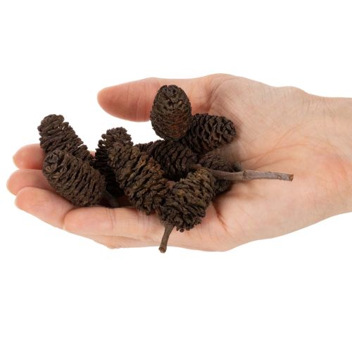 Prírodné jelšové šišky, voľné, na ozdobu, 3 cm, 300 g, prírodná hnedá. | Floristik24.sk