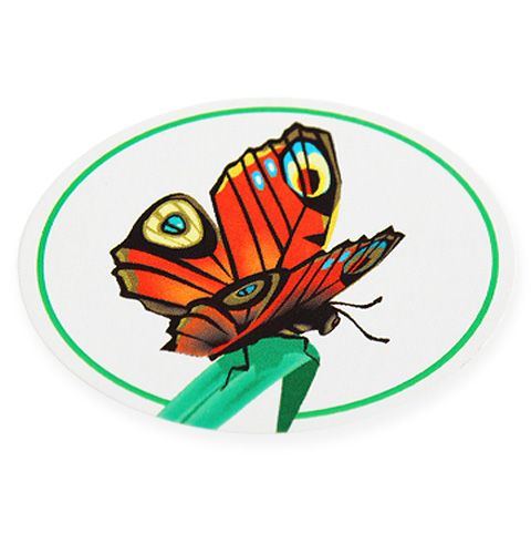 Floristik24 Etikety motýľ 250ks