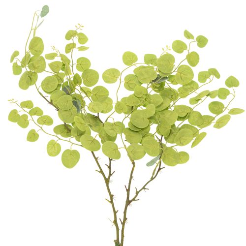položky Dekoratívna vetvička eukalyptu, ideálna dekorácia na stôl, 120 cm