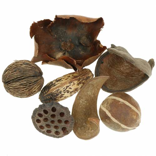 Floristik24 Exotický sortiment prírody v sieťke 200g